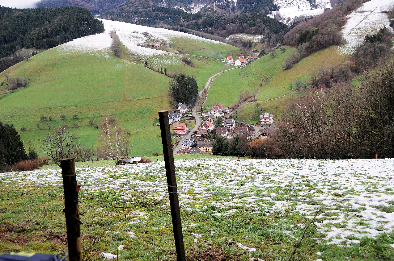 Schwarzwald ist schön