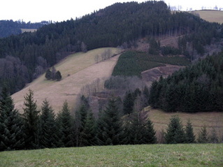 #1: General View - Confluence point located below the woods in front