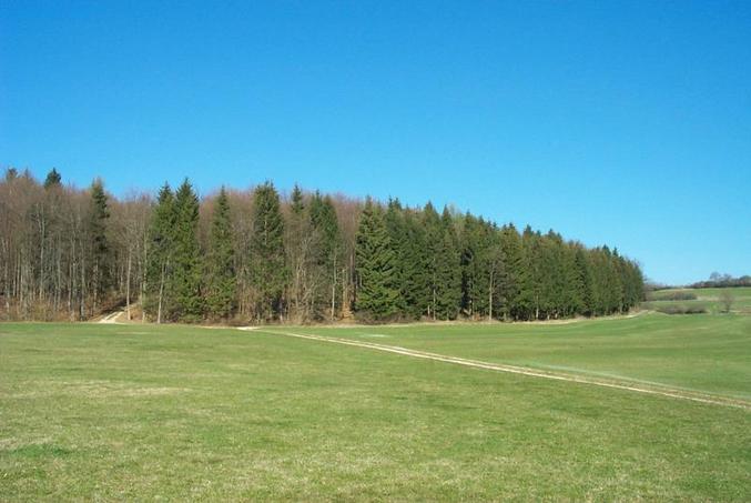 View from the confluence / Blick vom Confluence Punkt