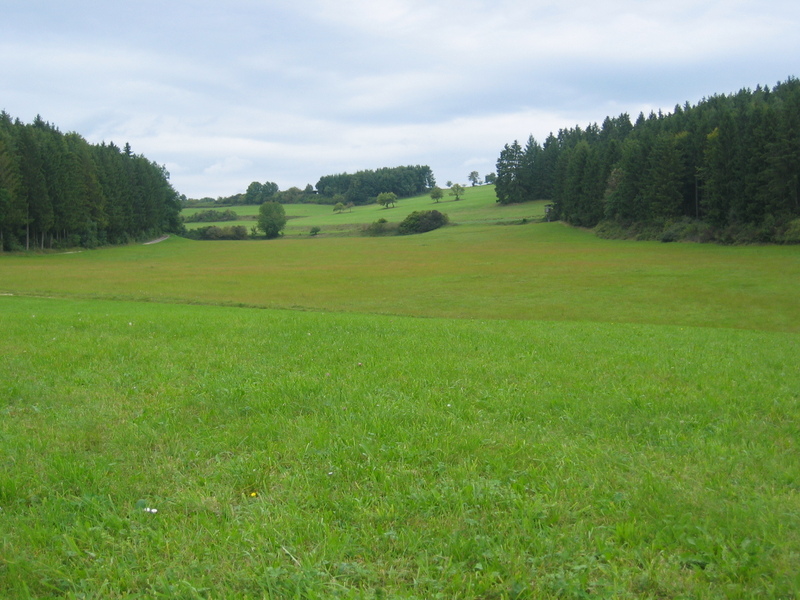 The Confluence from 20 m Distance