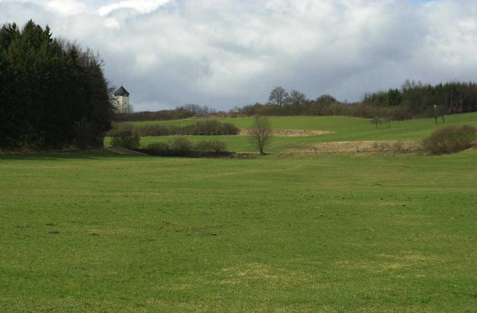 Looking North from the confluence point.