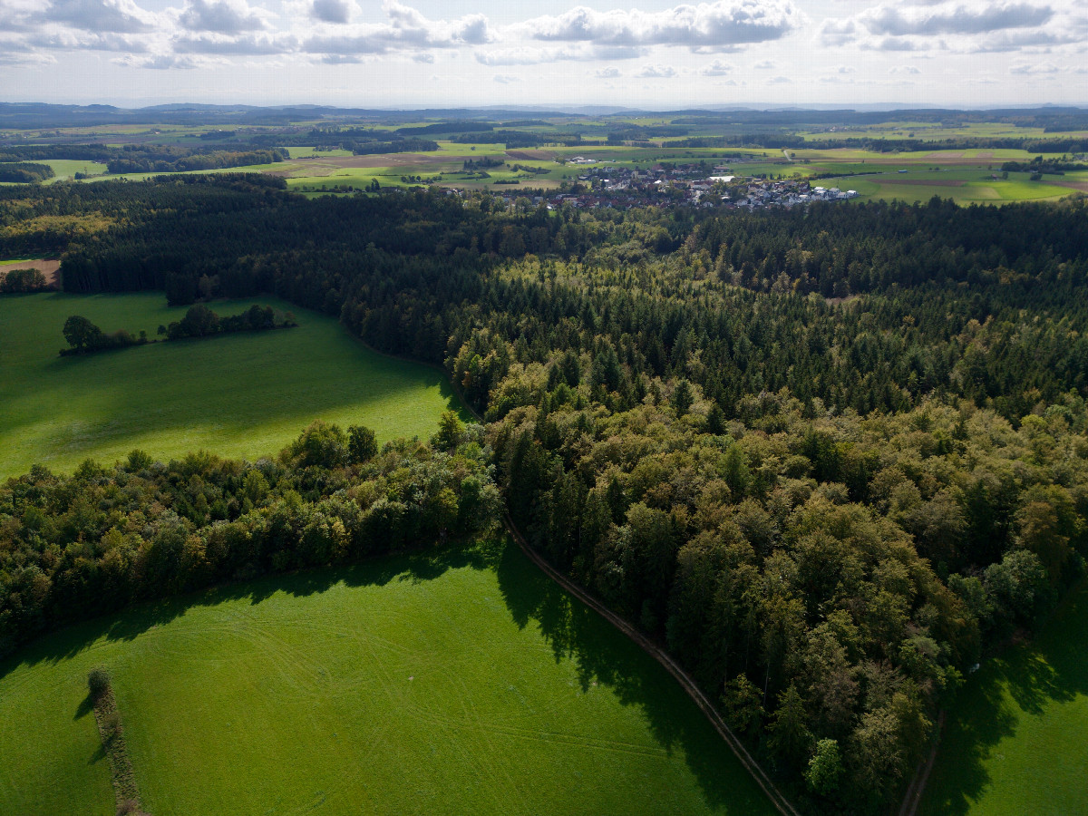 View South, from 120m above the point