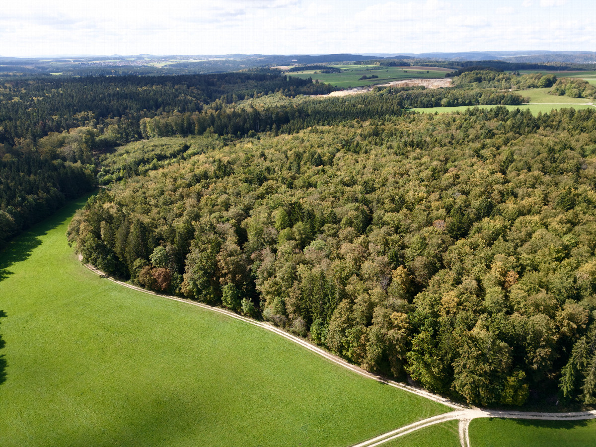 View West, from 120m above the point