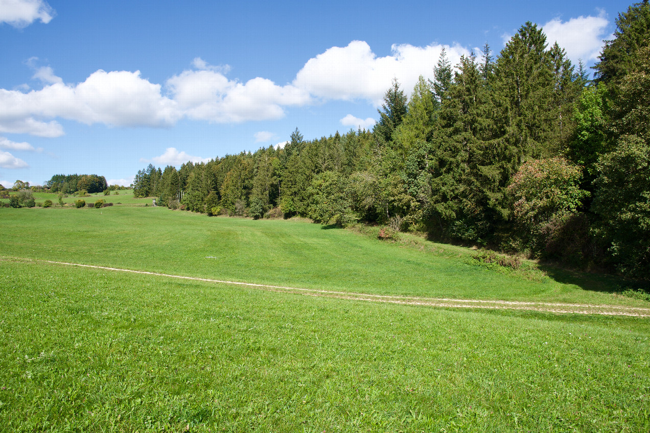 The confluence point lies in a farm field   (This is also a view to the North.)