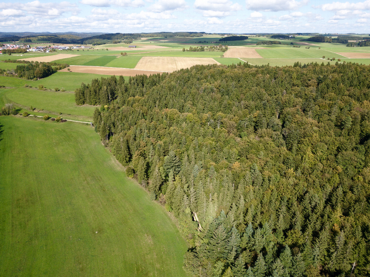 View North, from 120m above the point