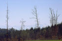 #4: Looking south from the confluence (telephoto, Swiss Alps visible)