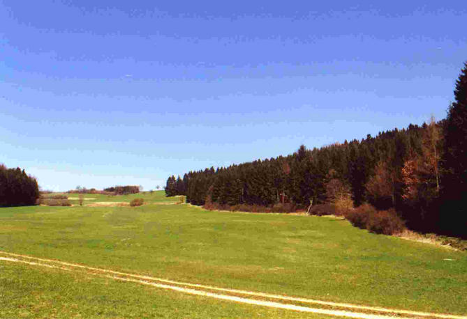 View north-west, we came through these trees along the path