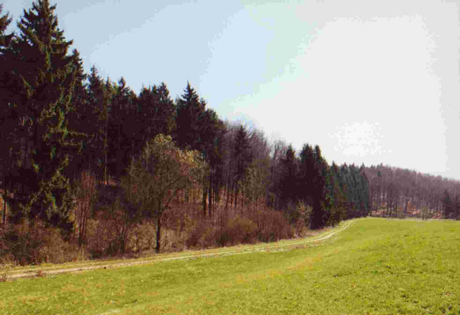 View south-east, the track we went back to our car.