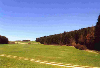 #1: View north-west, we came through these trees along the path