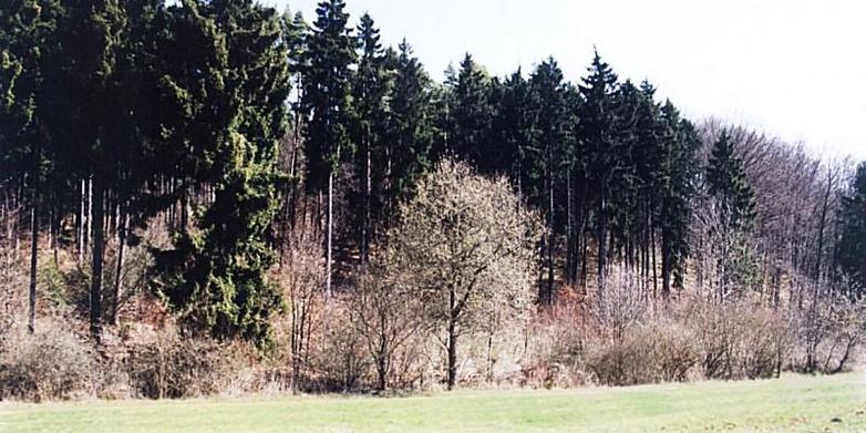 From the Confluence looking  East