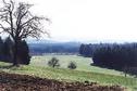 #2: 48°N9°E seen from a position 620m N, 200m W of the confluence in front of  the tiny shrubs downhill