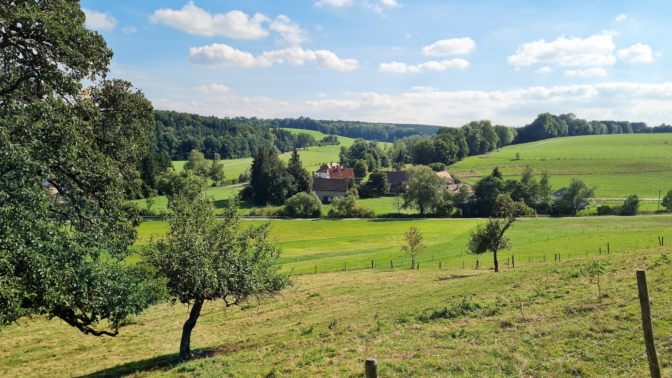 surrounding landscape