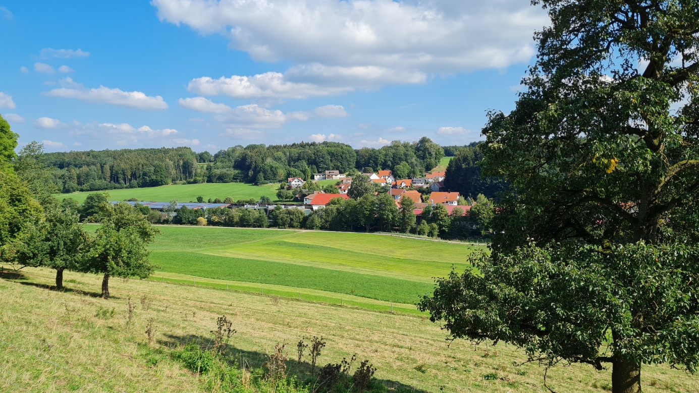 surrounding landscape