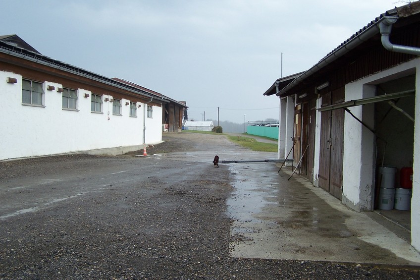 View towards N from the confluence