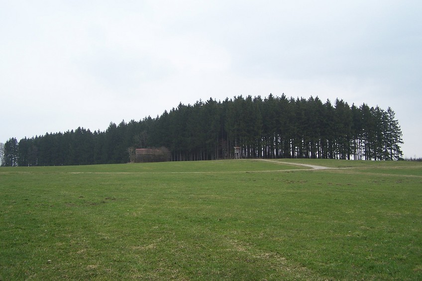 General view of the confluence (towards E)