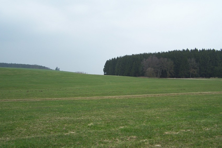 View towards N from the confluence