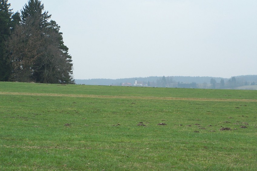 View towards S from the confluence