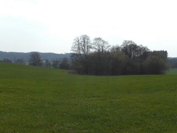 Approaching the Confluence Point