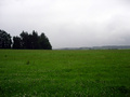 #4: View South