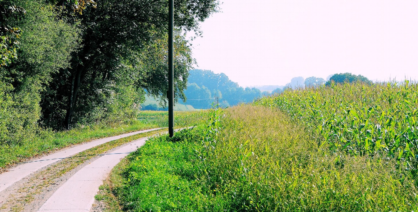 Sehr schön zum wandern