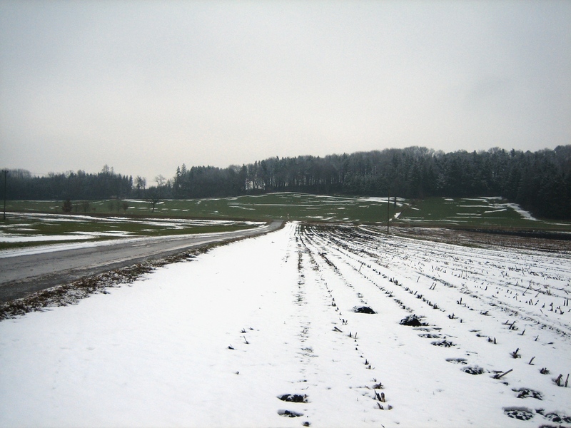 South/Richtung Süden