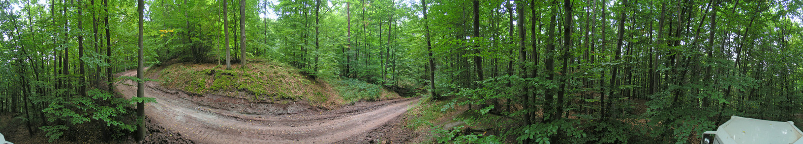 360-degree panorama, taken from the hood of the 'dozer