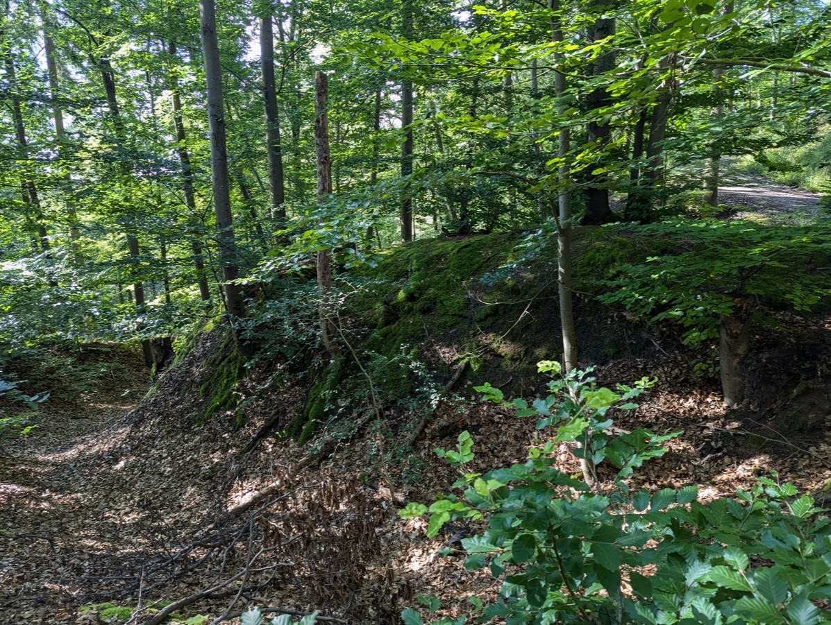 A second view of the confluence