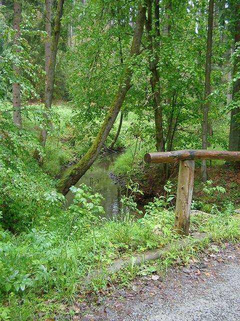 Brook near CP (presumably the Einsiedelbach)