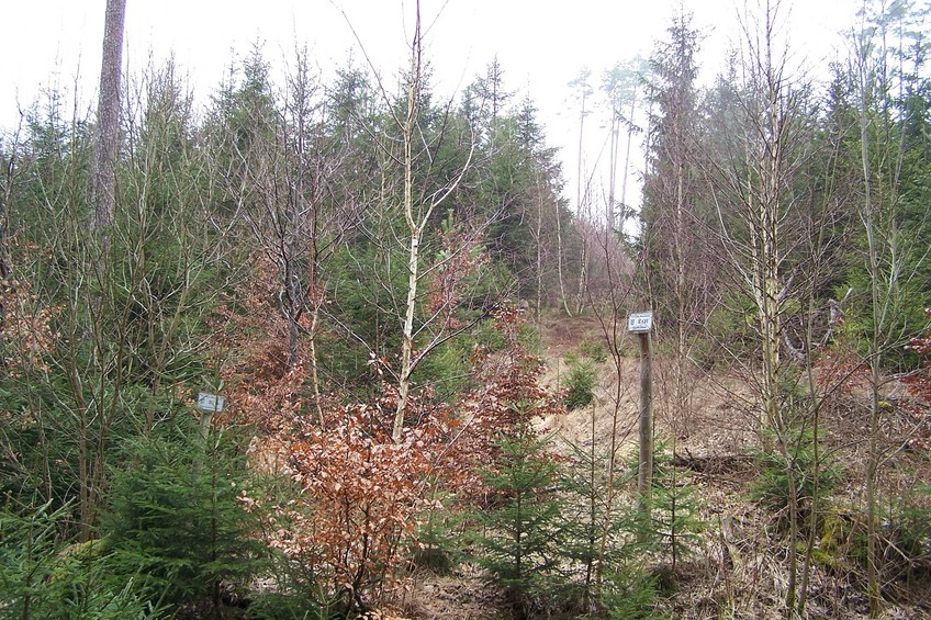 General view of the confluence (towards N, ca. 80 m away)