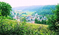 #9: Dorf im Tal