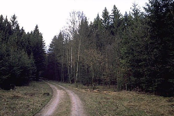 View north from confluence 49°N 11°E