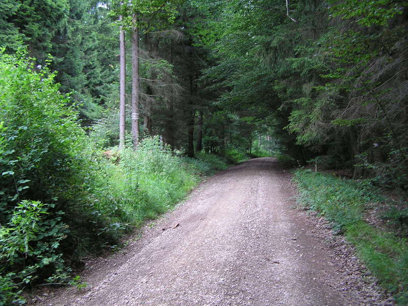 Road that runs just barely south of the confluence, looking west.