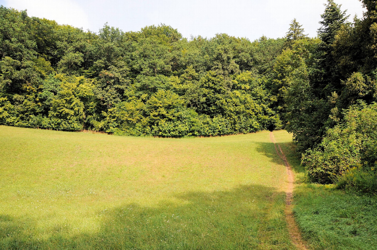 schöne zum Wandern