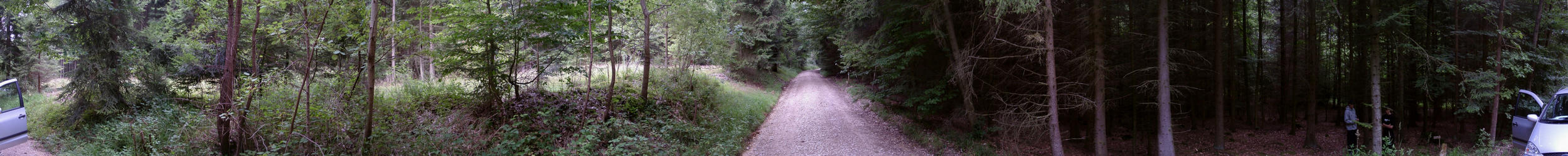 Full panorama direct in front of the confluence