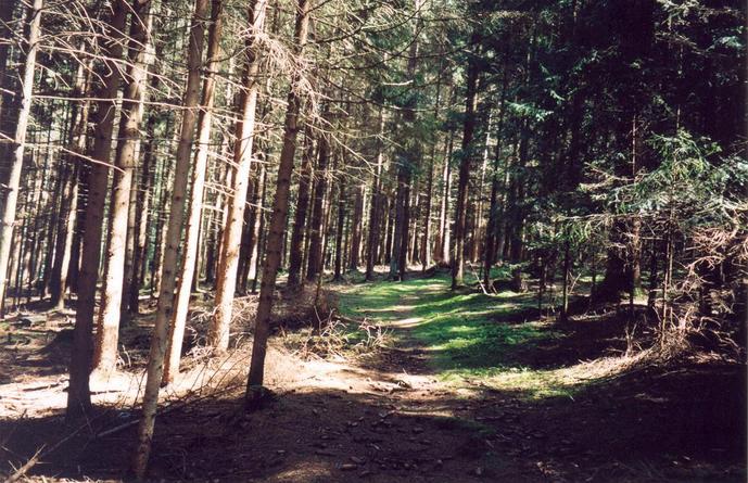 General view of the confluence (towards E)