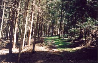 #1: General view of the confluence (towards E)