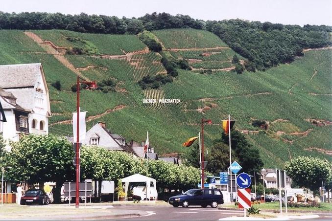 Ürziger vineyards