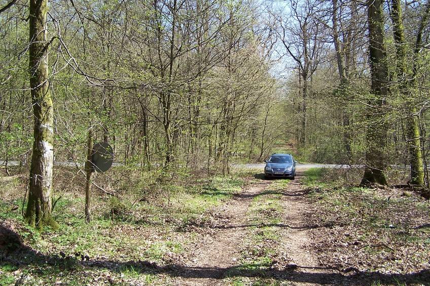 View towards E from the confluence