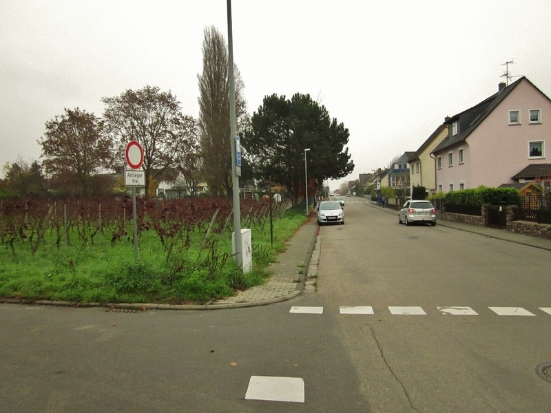 The street towards the East along the vineyard