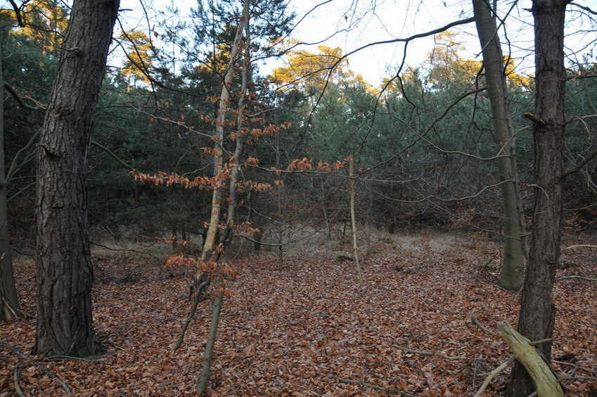 View east / Blick nach Osten