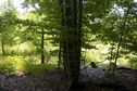 #3: View South (towards the nearby Autobahn)