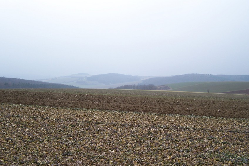 View towards W from the confluence