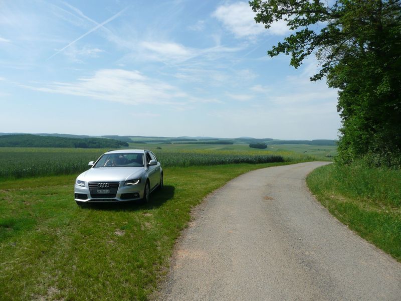 Road 170 meters north of confluence