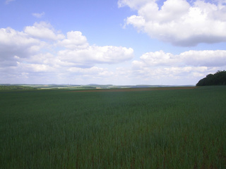 #1: General view of the confluence (looking NW)