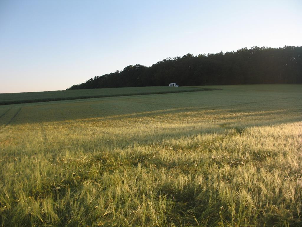 Norden; view north