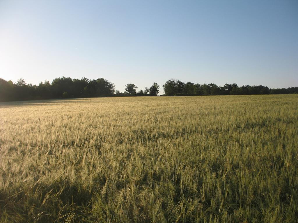 Osten; view east