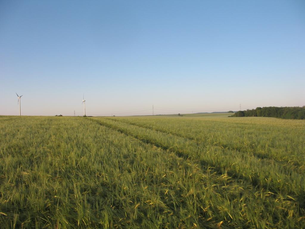 Süden; view south