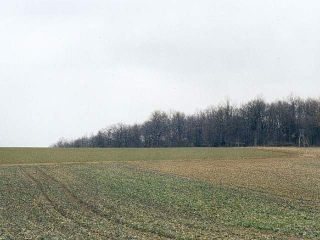 View to the north from the confluence (muddy field again)