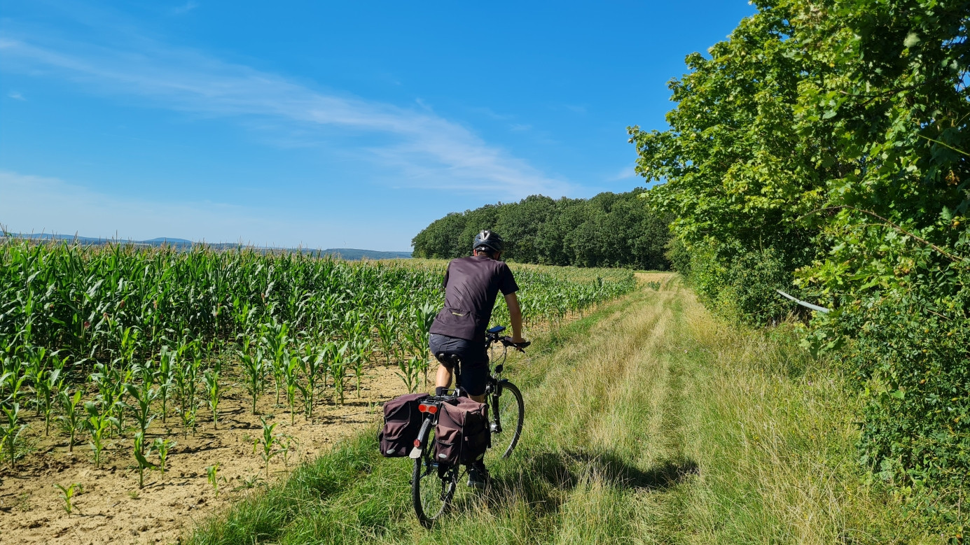 on the way to the CP at a distance of 250 meters