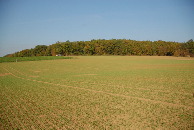 View to the point / Blick zum Confluence Punkt